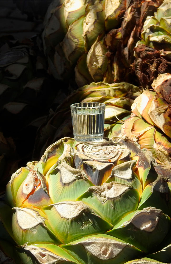 vaso-con-mezcal